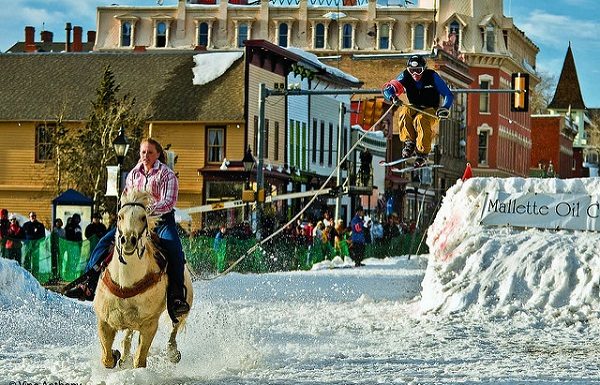 skijoring in colorado