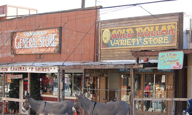Wild Burros of Oatman