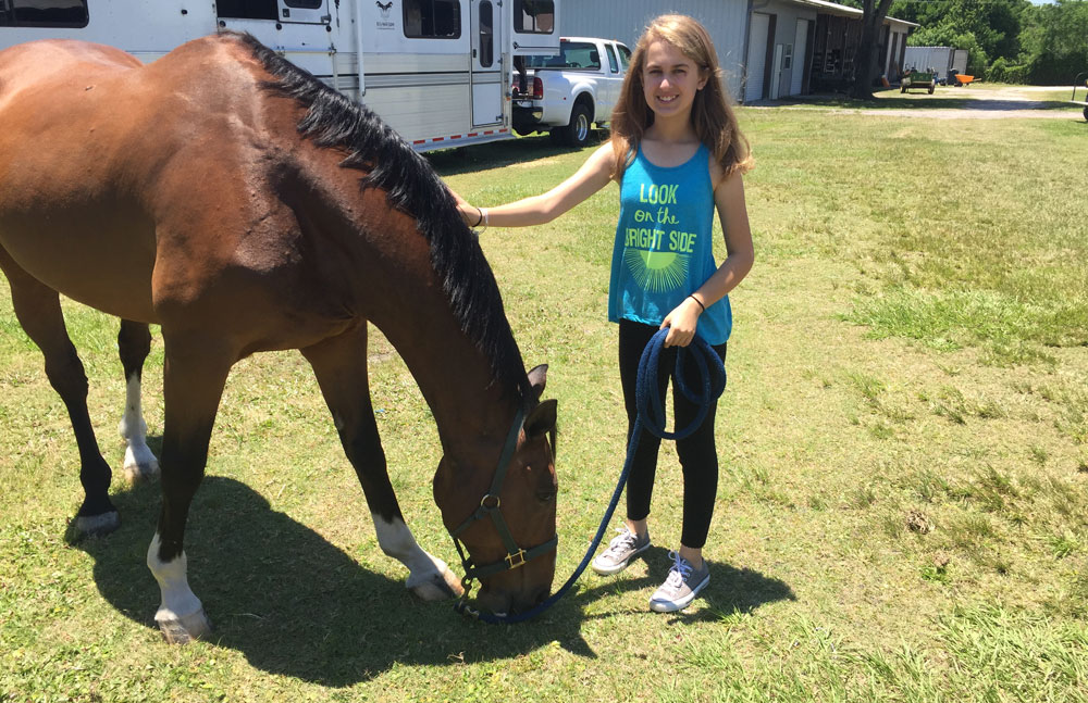 Project equine golden years