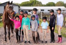 Project Equine Golden Years