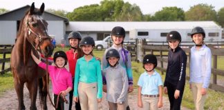 Project Equine Golden Years