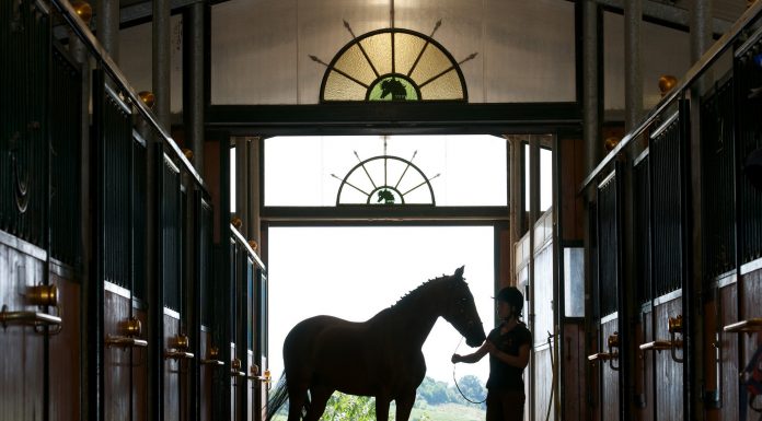 Classical Riding Center