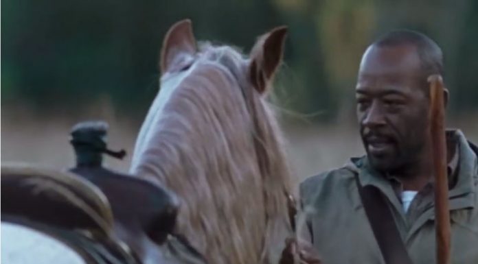 Morgan with horse in The Walking Dead