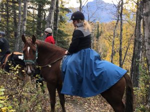 Arctic Horse Skirts Review