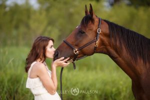 Day in the Life of a Horse Photographer