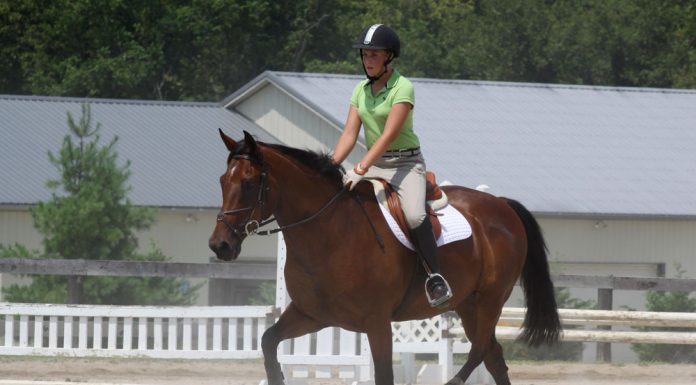 ground poles english