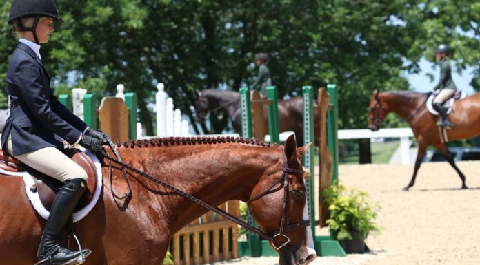 hunt seat equitation on the flat