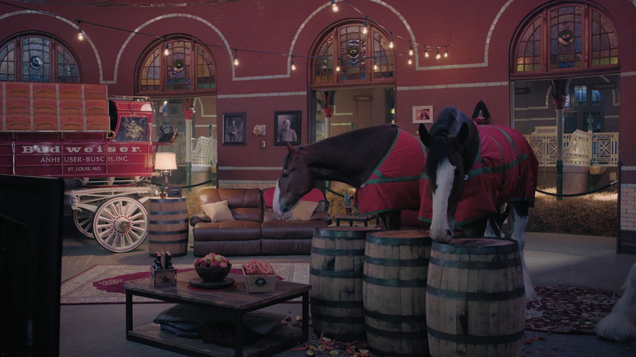 The Budweiser Clydesdales’ Super Bowl Party