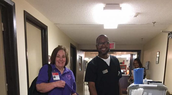 mini therapy horse on valentine's day