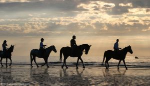 A Tropical Vacation Just for Horse Lovers