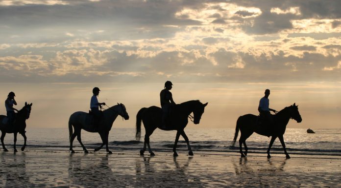 Beach Riding