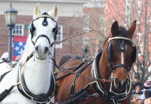 Woman Faces Charges After Spooking Carriage Horses with a Dinosaur Costume