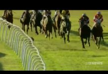 Featured Video: Kangaroo in a Horse Race kangaroo in a horse race
