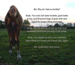 Why Do I Feel Terrible, Equestrian Edition