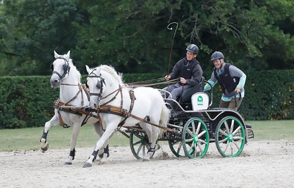 Bill Murray Carriage Driving