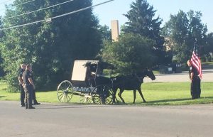 Police Officer Jumps on Moving Buggy; Stops Runaway Horse