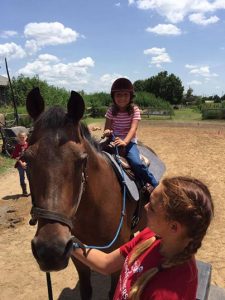 Newcomers get to know horses on National Meet a Horse Day