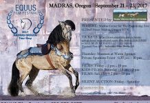 EQUUS FIlm Festival Madras
