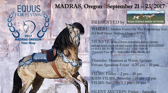 EQUUS FIlm Festival Madras