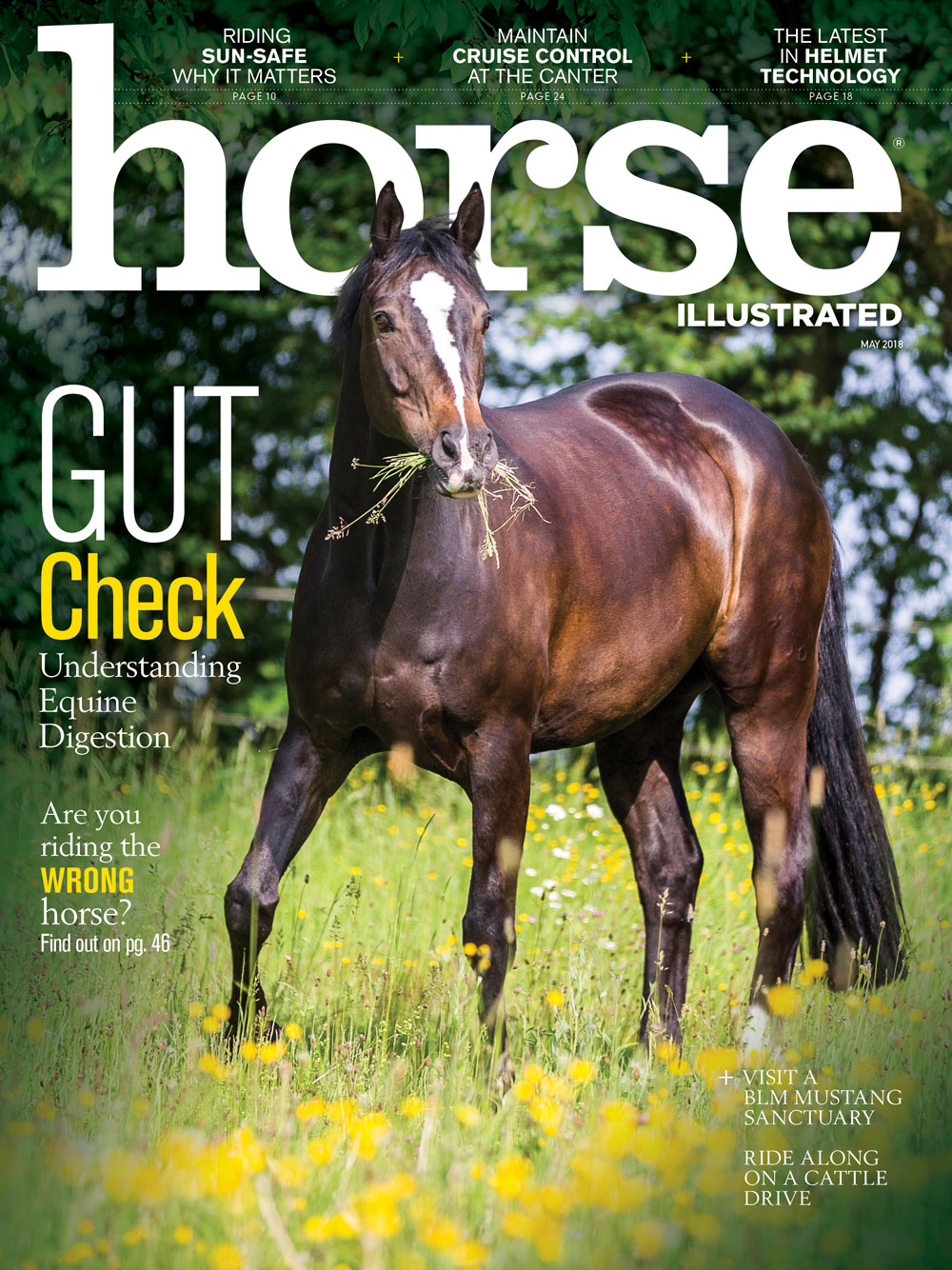 Horse Illustrated May 2018