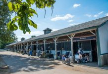 kentucky horse park stabling