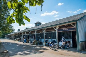 Equine evacuees from Hurricane Irma arrive in Tryon, N.C., and Lexington, Ky.