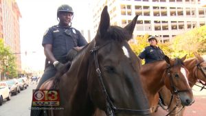 Baltimore has a new police horse, and his name is Slurpee