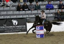 Applications Open for the 2018 Thoroughbred Makeover Thoroughbred Makeover