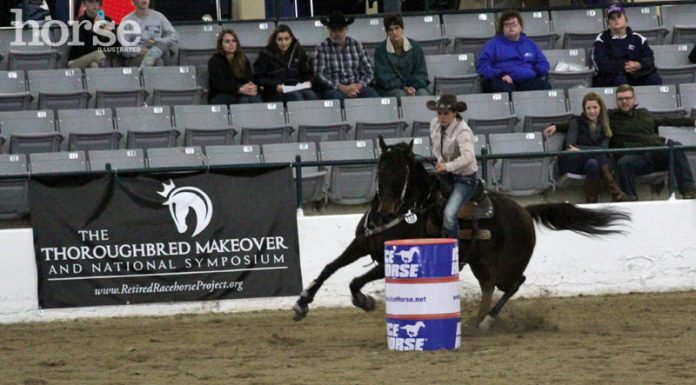 Thoroughbred Makeover