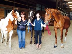 Photo Gallery: Happy National I Love Horses Day!