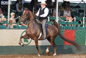 The Near Side: Riding While Old