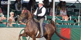 The Near Side: Riding While Old william shatner