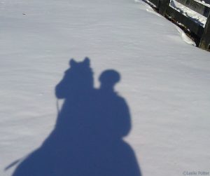 Making the Most of Winter