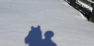 winter ride shadow