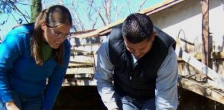 The Goat Whisperer goat