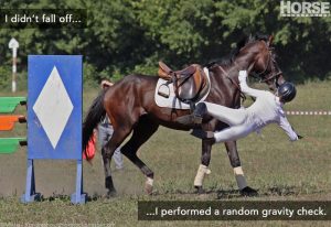 The Near Side: 18 Ways to Say You Fell Off Your Horse