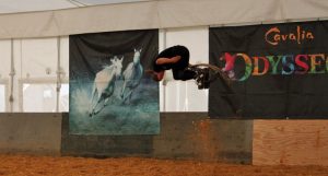 A Real Flying Horseman