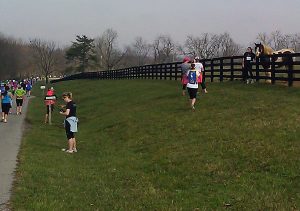 Running with Thoroughbreds