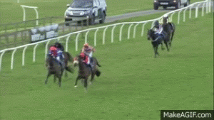 This Week in Horses – April 3, 2015