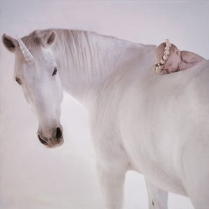 Over the Fence: George the Unicorn