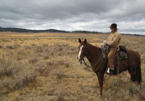 Horses and Wolf Conservation