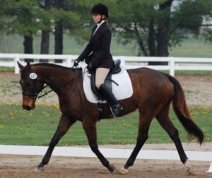 Show Season Kicks Off