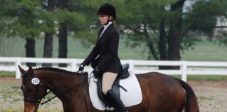 dressage