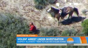 Over the Fence: What Happened to the Stolen Horse?