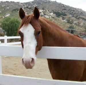 Why Not Double the Fun?