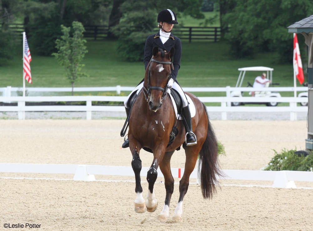 Meet the U.S. Dressage Team for the 2014 Alltech FEI World Equestrian Games