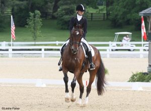 Vote Now for USEF Horses of the Year