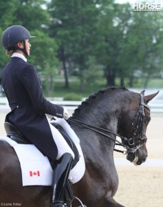 Saturday Night Dressage