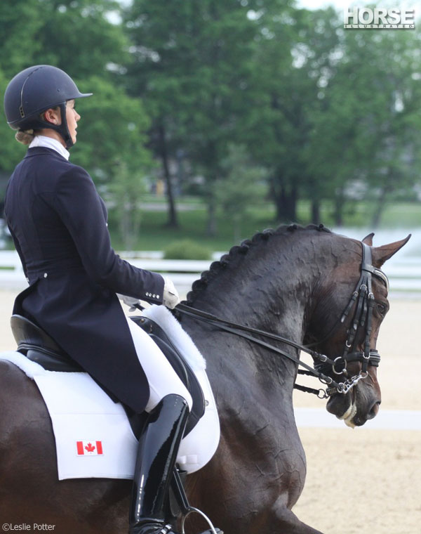 Saturday Night Dressage