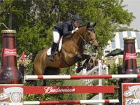 horse jumping